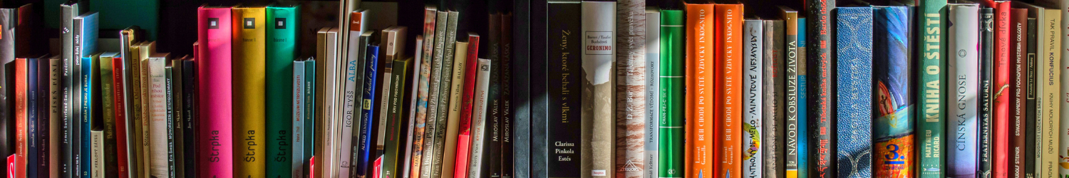 shelf of books, various colours and titles