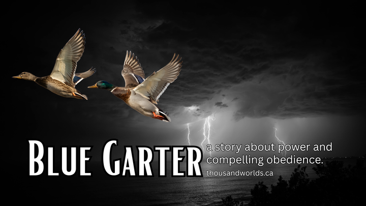 thunderstorm, two ducks flying away. Blue Garter: a story about power and compelling obedience. thousandworlds.ca